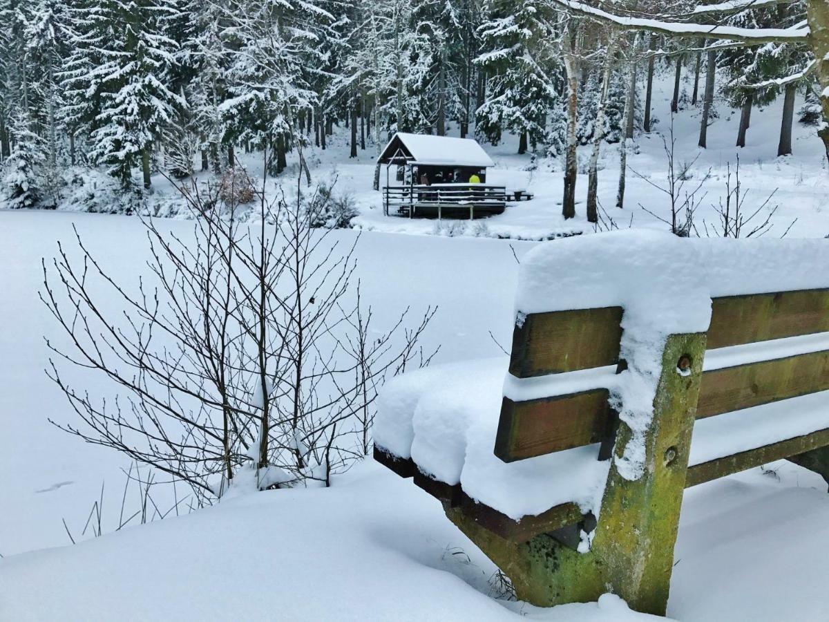 Flair-Hotel Waldfrieden Oberweißbach Buitenkant foto